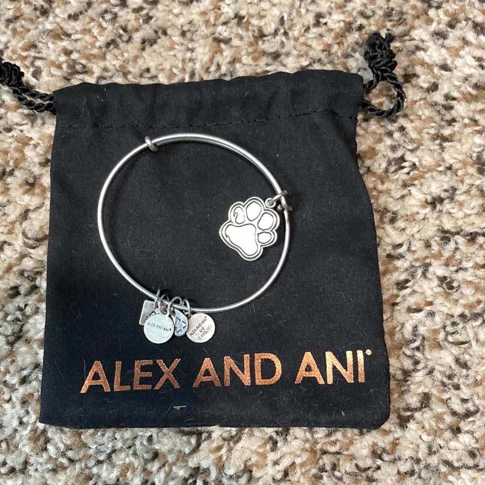 Alex and ani